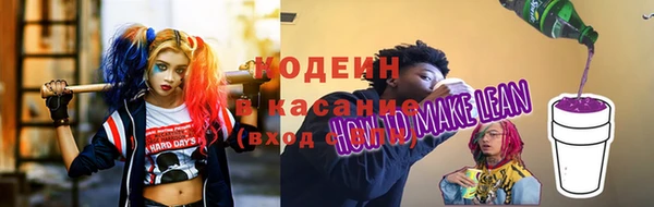 индика Михайловка
