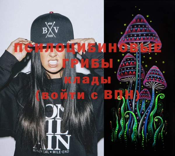 индика Михайловка