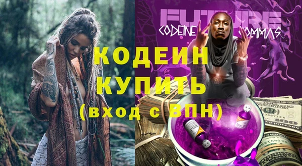 индика Михайловка